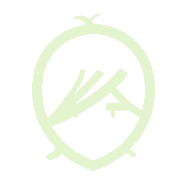 CarlosLlana.tv